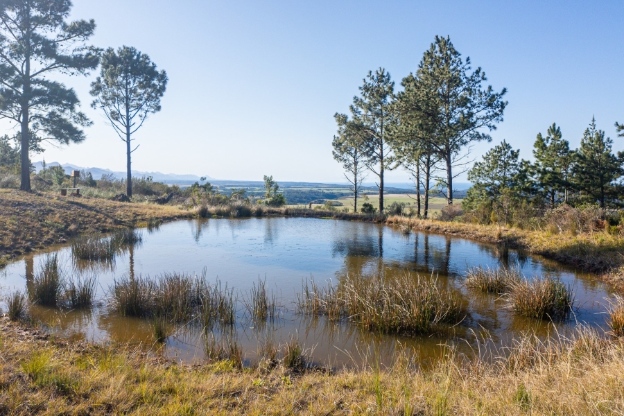 8 Bedroom Property for Sale in Plettenberg Bay Rural Western Cape